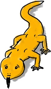 Fabian as a newt