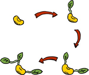 Growing tree algorithm