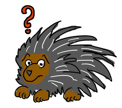 A Porcupine